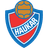 Haukar